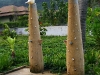 khaolakPicture 417